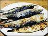 Grilled Sardines